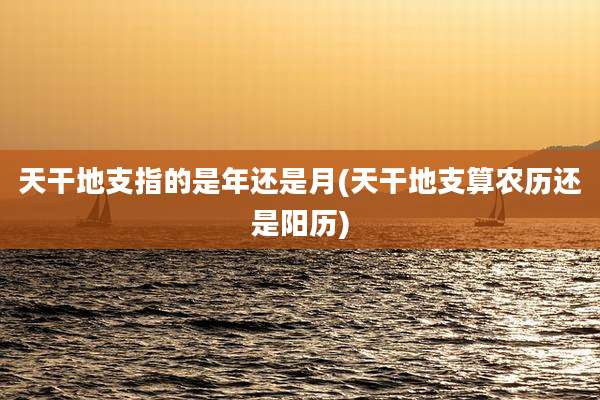 天干地支指的是年还是月(天干地支算农历还是阳历)