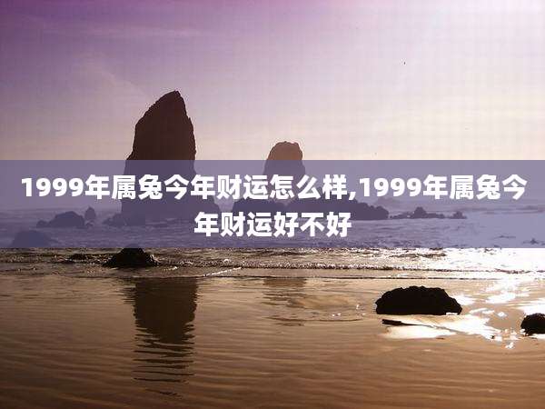 1999年属兔今年财运怎么样,1999年属兔今年财运好不好