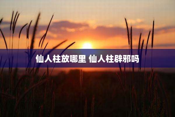 仙人柱放哪里 仙人柱辟邪吗