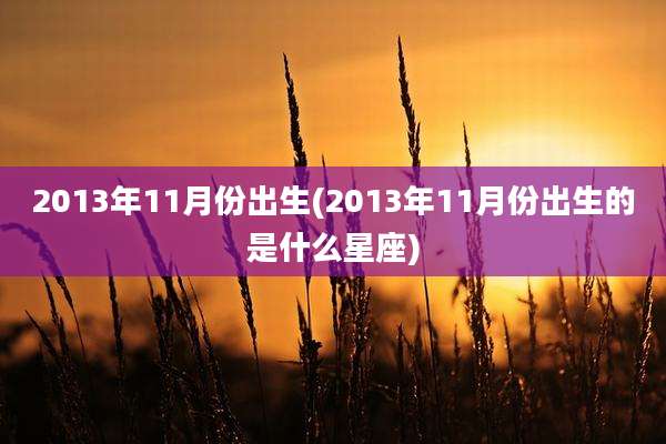 2013年11月份出生(2013年11月份出生的是什么星座)
