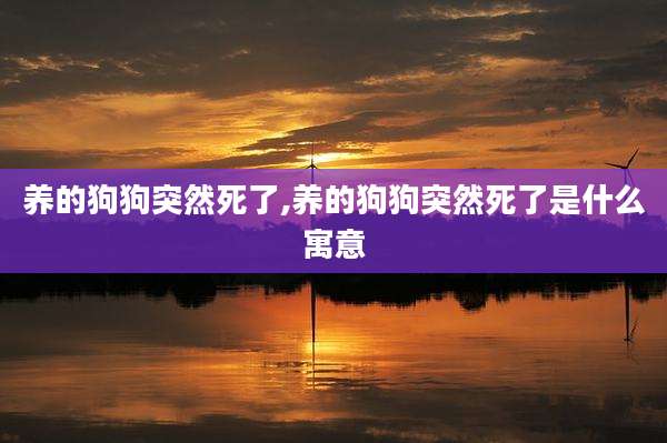 养的狗狗突然死了,养的狗狗突然死了是什么寓意