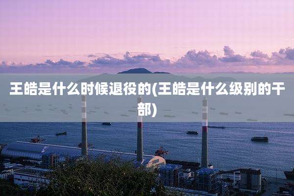 王皓是什么时候退役的(王皓是什么级别的干部)