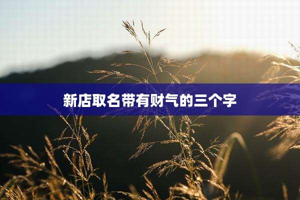 新店取名带有财气的三个字