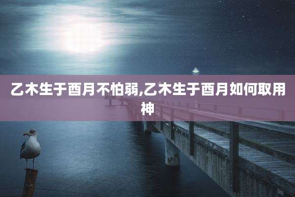 乙木生于酉月不怕弱,乙木生于酉月如何取用神