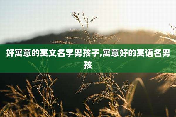 好寓意的英文名字男孩子,寓意好的英语名男孩