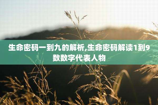 生命密码一到九的解析,生命密码解读1到9数数字代表人物
