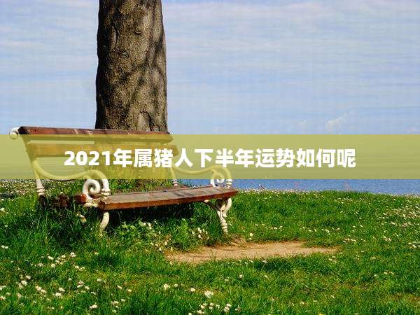 2021年属猪人下半年运势如何呢