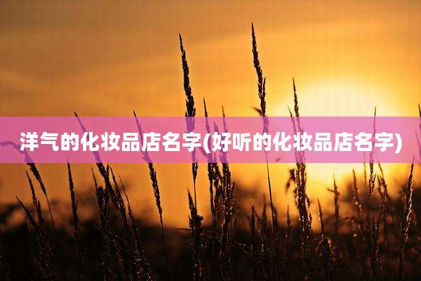 洋气的化妆品店名字(好听的化妆品店名字)