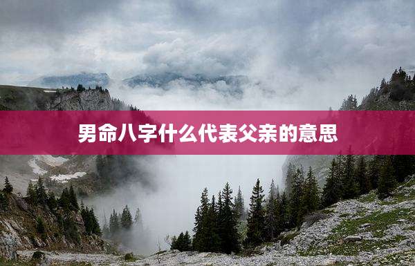 男命八字什么代表父亲的意思
