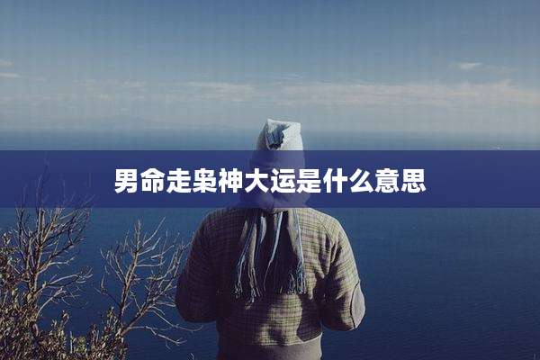男命走枭神大运是什么意思