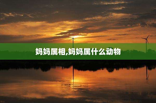 妈妈属相,妈妈属什么动物