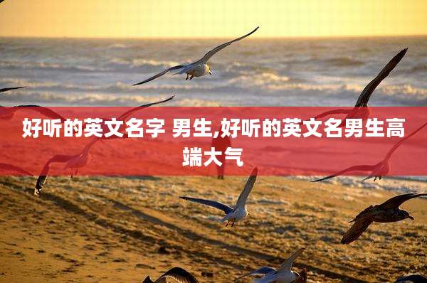 好听的英文名字 男生,好听的英文名男生高端大气