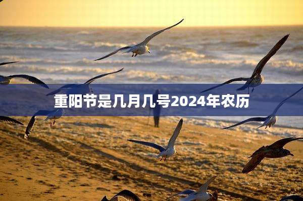 重阳节是几月几号2024年农历