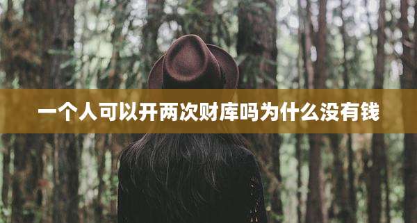 一个人可以开两次财库吗为什么没有钱