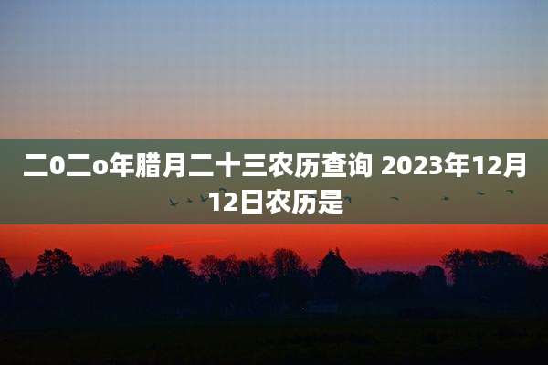二0二o年腊月二十三农历查询 2023年12月12日农历是