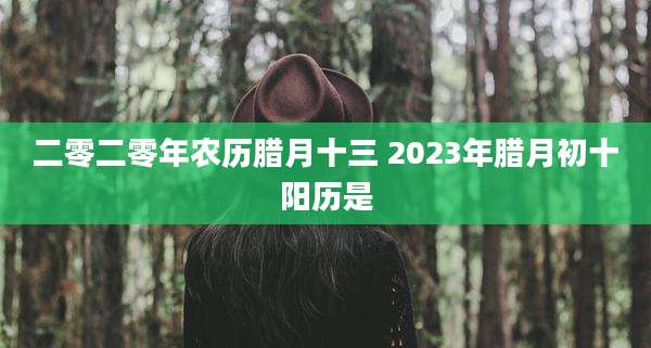 二零二零年农历腊月十三 2023年腊月初十阳历是