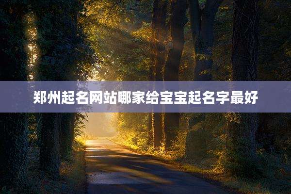 郑州起名网站哪家给宝宝起名字最好