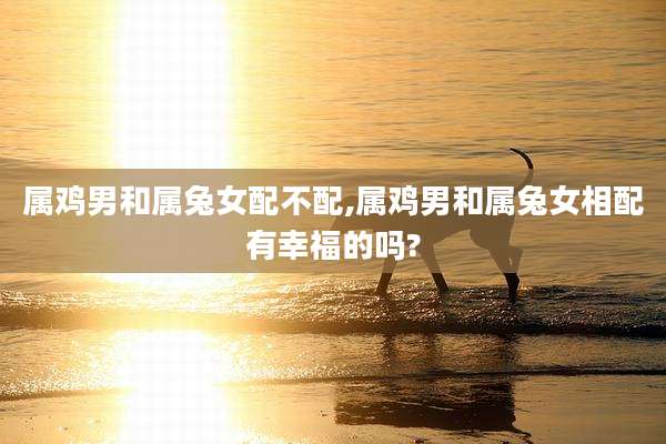 属鸡男和属兔女配不配,属鸡男和属兔女相配有幸福的吗?