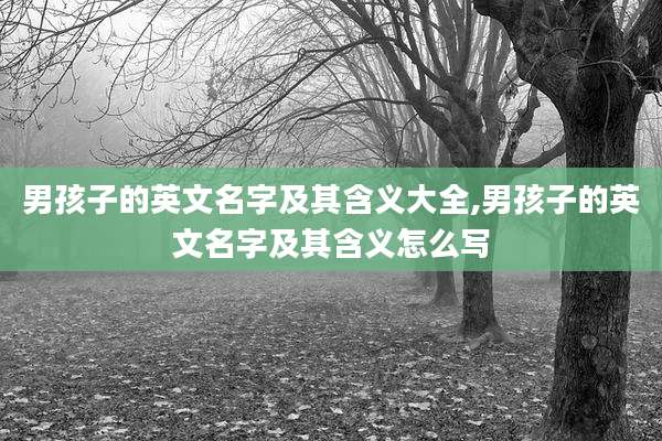 男孩子的英文名字及其含义大全,男孩子的英文名字及其含义怎么写
