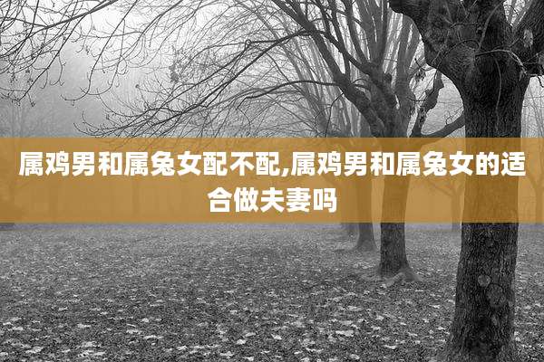 属鸡男和属兔女配不配,属鸡男和属兔女的适合做夫妻吗