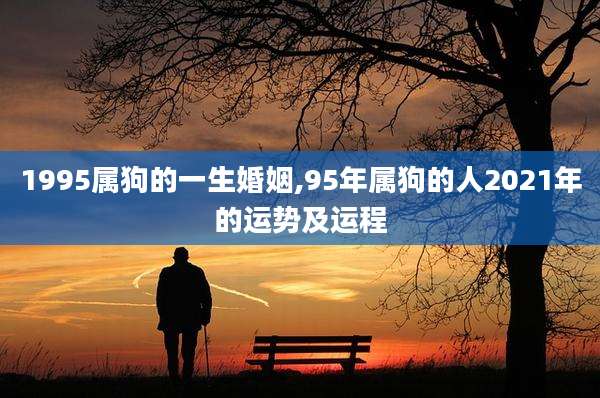 1995属狗的一生婚姻,95年属狗的人2021年的运势及运程