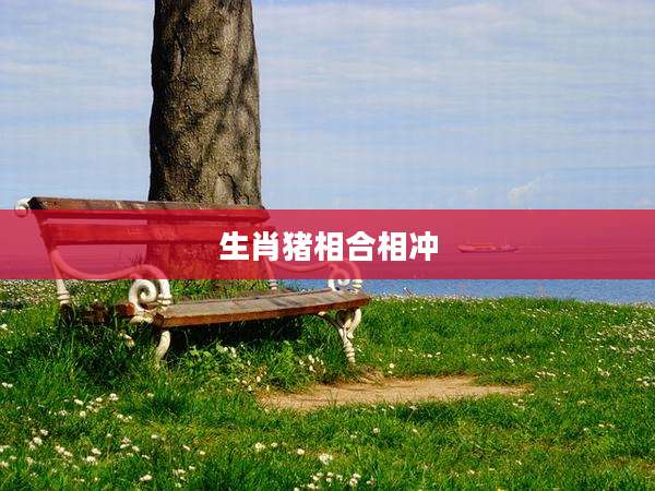 生肖猪相合相冲