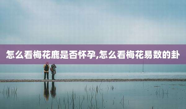 怎么看梅花鹿是否怀孕,怎么看梅花易数的卦