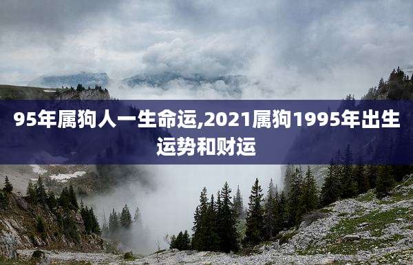95年属狗人一生命运,2021属狗1995年出生运势和财运