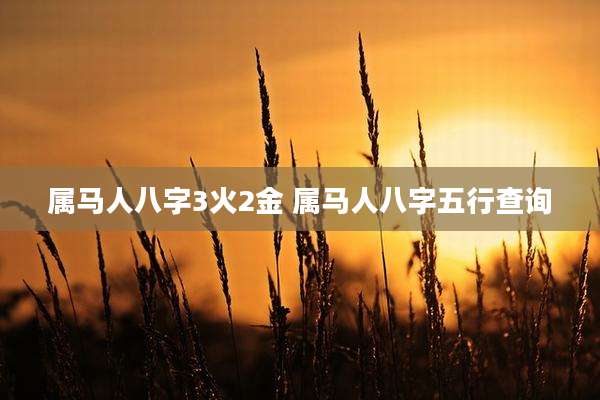 属马人八字3火2金 属马人八字五行查询