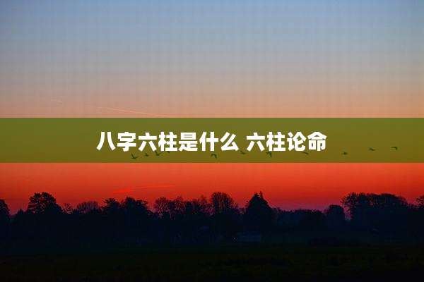 八字六柱是什么 六柱论命