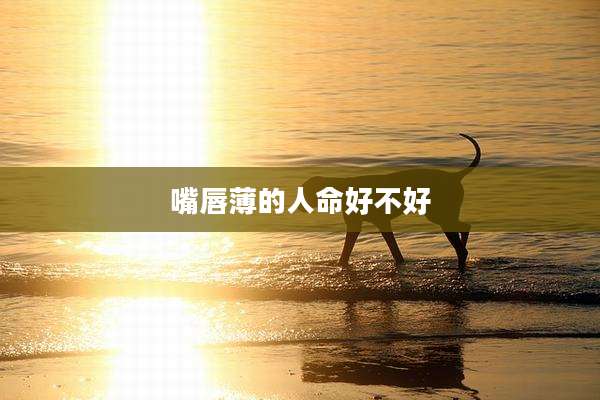 嘴唇薄的人命好不好