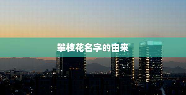 攀枝花名字的由来