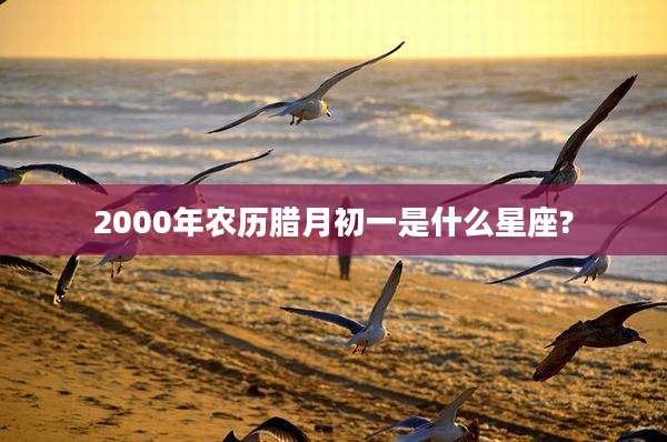 2000年农历腊月初一是什么星座?