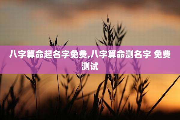 八字算命起名字免费,八字算命测名字 免费测试