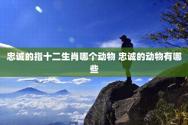 忠诚的指十二生肖哪个动物 忠诚的动物有哪些