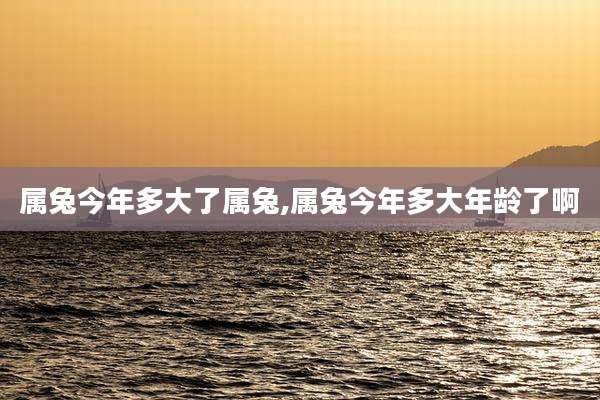 属兔今年多大了属兔,属兔今年多大年龄了啊
