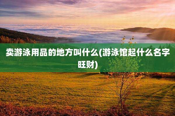 卖游泳用品的地方叫什么(游泳馆起什么名字旺财)