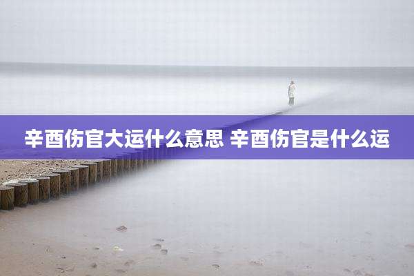 辛酉伤官大运什么意思 辛酉伤官是什么运