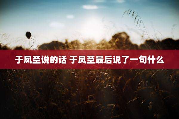 于凤至说的话 于凤至最后说了一句什么