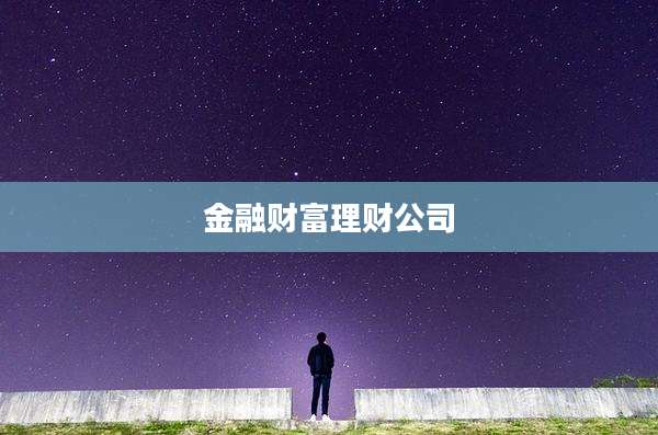 金融财富理财公司