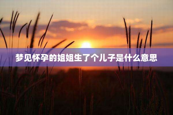 梦见怀孕的姐姐生了个儿子是什么意思