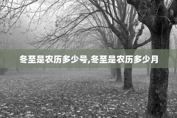 冬至是农历多少号,冬至是农历多少月