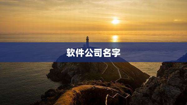 软件公司名字