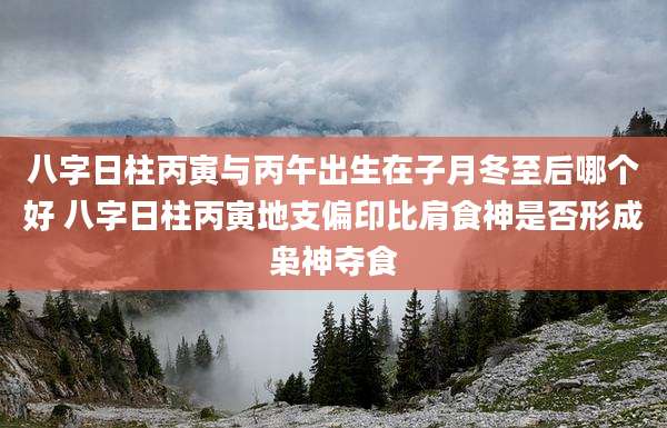 八字日柱丙寅与丙午出生在子月冬至后哪个好 八字日柱丙寅地支偏印比肩食神是否形成枭神夺食