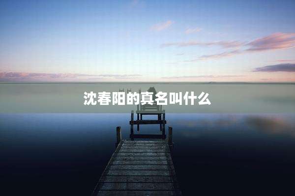 沈春阳的真名叫什么