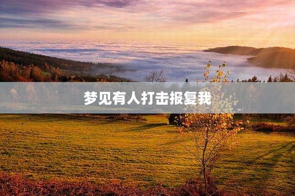 梦见有人打击报复我