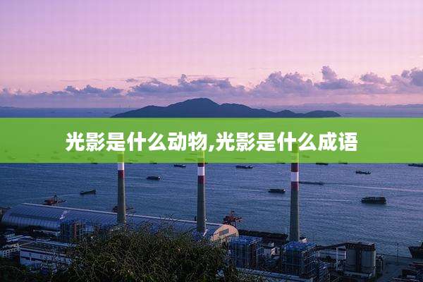 光影是什么动物,光影是什么成语