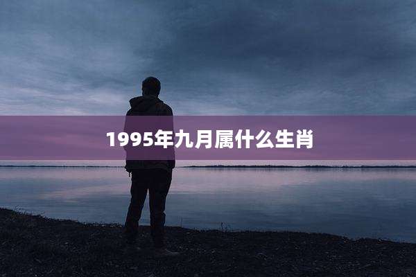 1995年九月属什么生肖