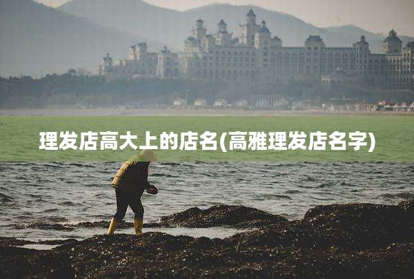 理发店高大上的店名(高雅理发店名字)