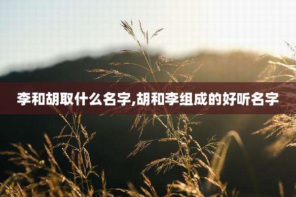 李和胡取什么名字,胡和李组成的好听名字